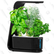 AeroGarden Sprout | $60 | Amazon, Best Buy